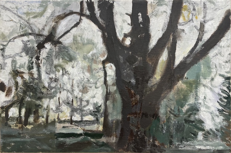 Tree and Fog, 2024,  Oil on Wood Panel, 12 x 18