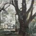 Tree and Fog, 2024,  Oil on Wood Panel, 12 x 18 thumbnail