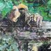 Cove, 2025, oil on panel, 25 x 21 inches thumbnail